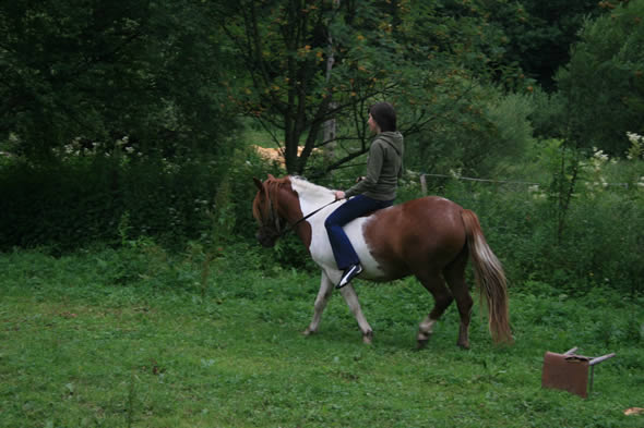  Bieszczady.jpg